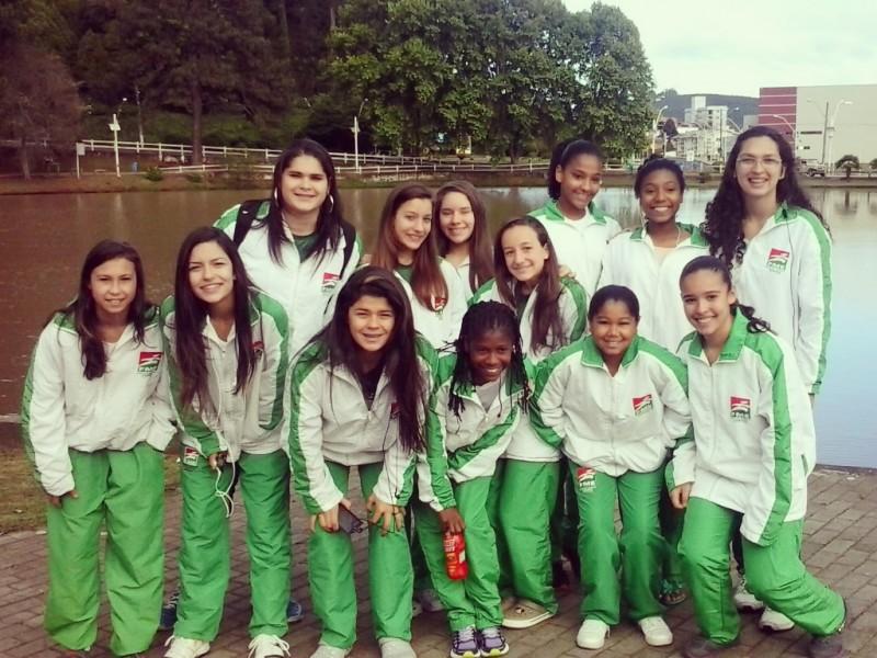 Handebol Sul-14 conquista Campeonato Estadual