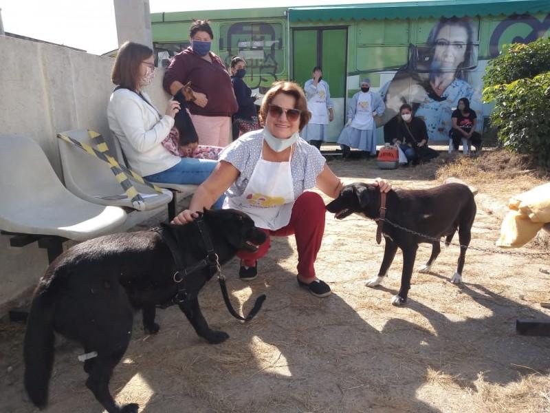 Campanha de castração em Araranguá realizou quase uma centena de procedimentos