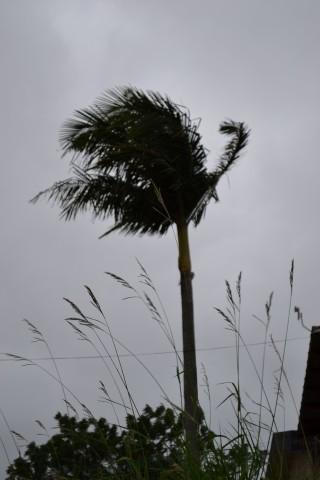 Chuva dos próximos dias deve superar o acúmulo esperado para todo mês