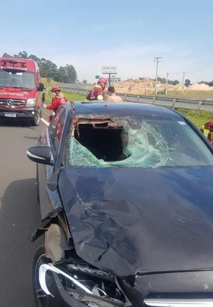 Homem de 62 anos morre atropelado por veículo na BR-101 em Içara