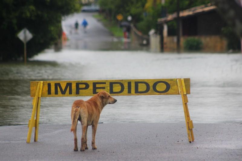 Forquilhinha: no bairro Cidade Alta água invade casas e bloqueia rua