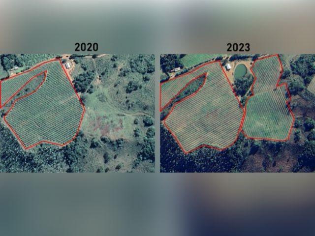 Pesquisa aponta que área plantada com maçã na Serra Catarinense cresceu 16% nos últimos três anos