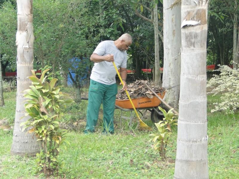Cuidado com o meio ambiente: 55 mil mudas já foram plantadas em Criciúma