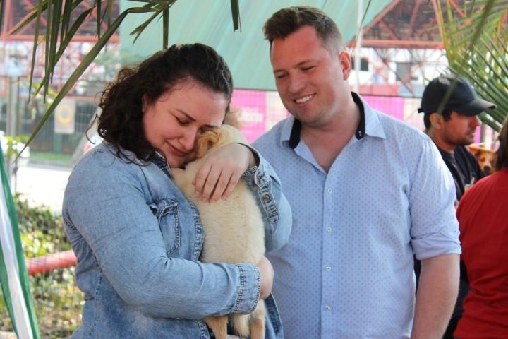 Animais de rua são adotados em feira de adoção 