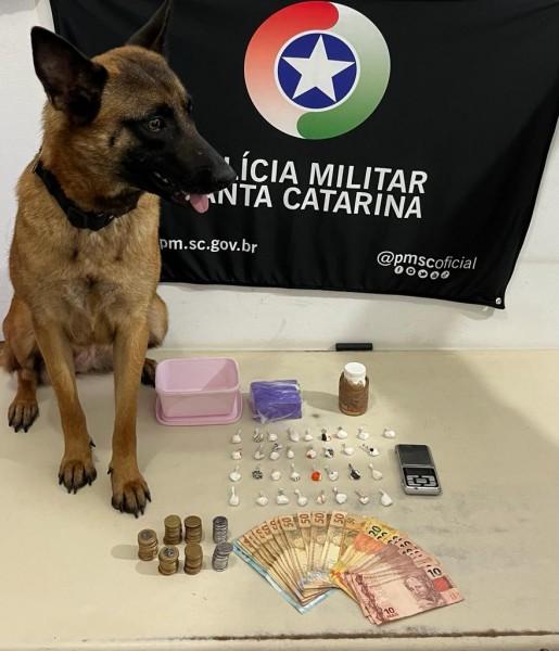 Com ajuda do cão farejador, PM apreende porções de maconha e cocaína em Araranguá 