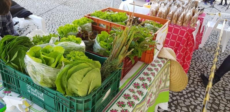 Feira da Agricultura Familiar acontece nesta quinta-feira no pátio do estádio Heriberto Hülse