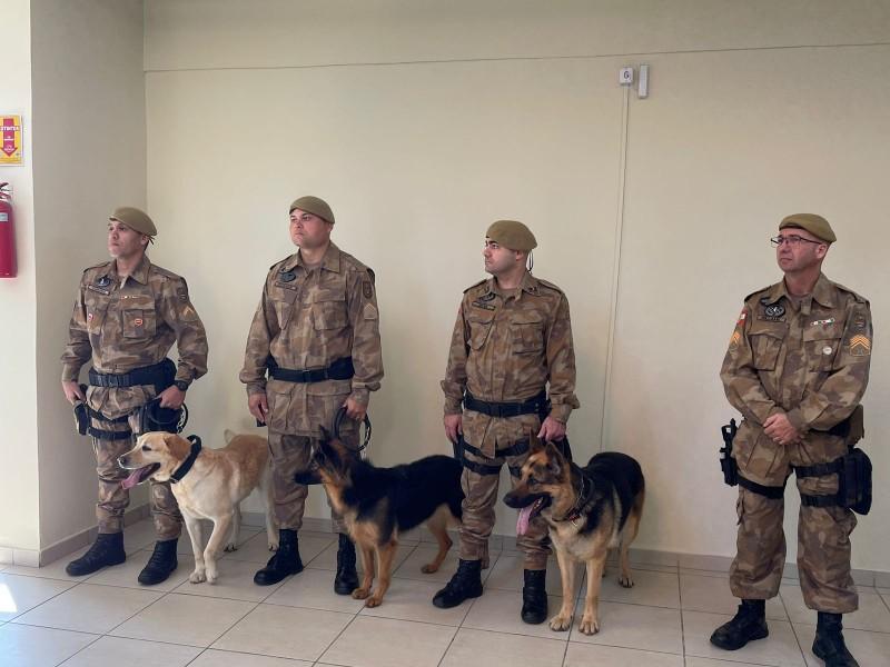 CinoTerapia: cães da PM auxiliam mais de 150 alunos da Afasc com TEA 