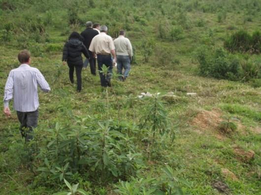 Técnicos da Cohab vistoriam terreno para construção de casas populares em Morro da Fumaça