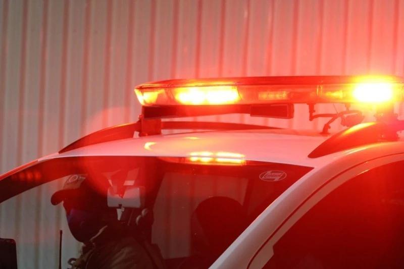 Galpão é arrombado e cachorro morto durante tentativa de furto em Araranguá