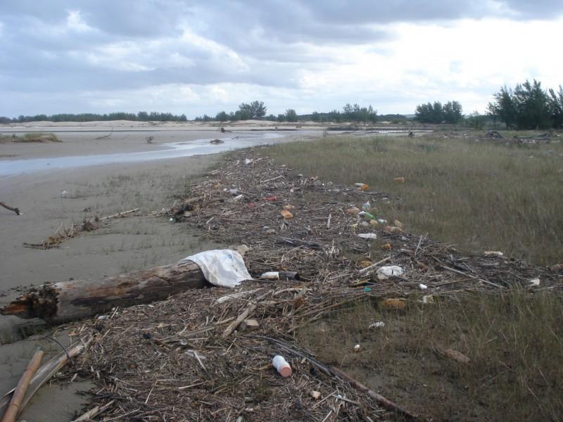 Dia dos Oceanos: Ações humanas influenciam nas águas de rios e mares