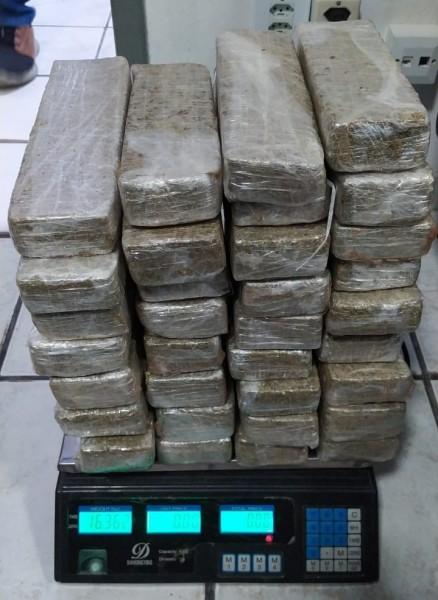 Santa Catarina: dupla é presa com mais de 16 quilos de maconha na BR-101
