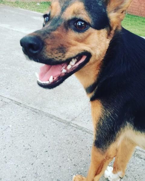 ENCONTRADA - Procura-se July