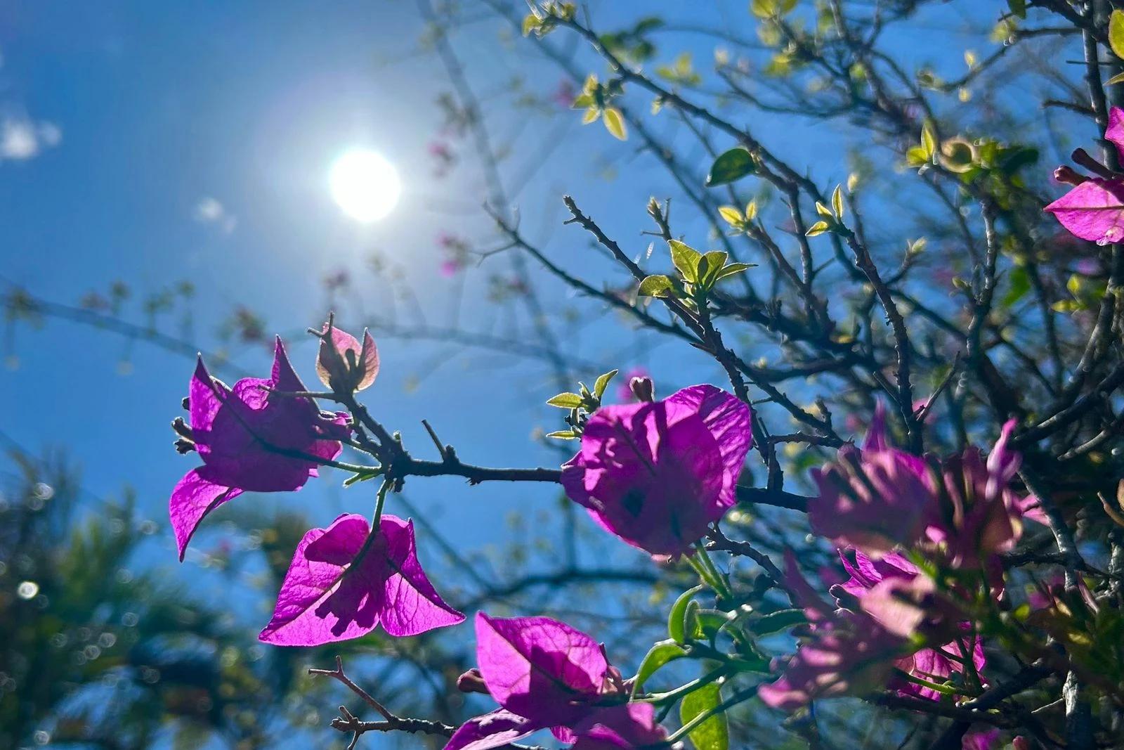 Temperaturas amenas e mais sol: saiba o que esperar do tempo no penúltimo mês do ano