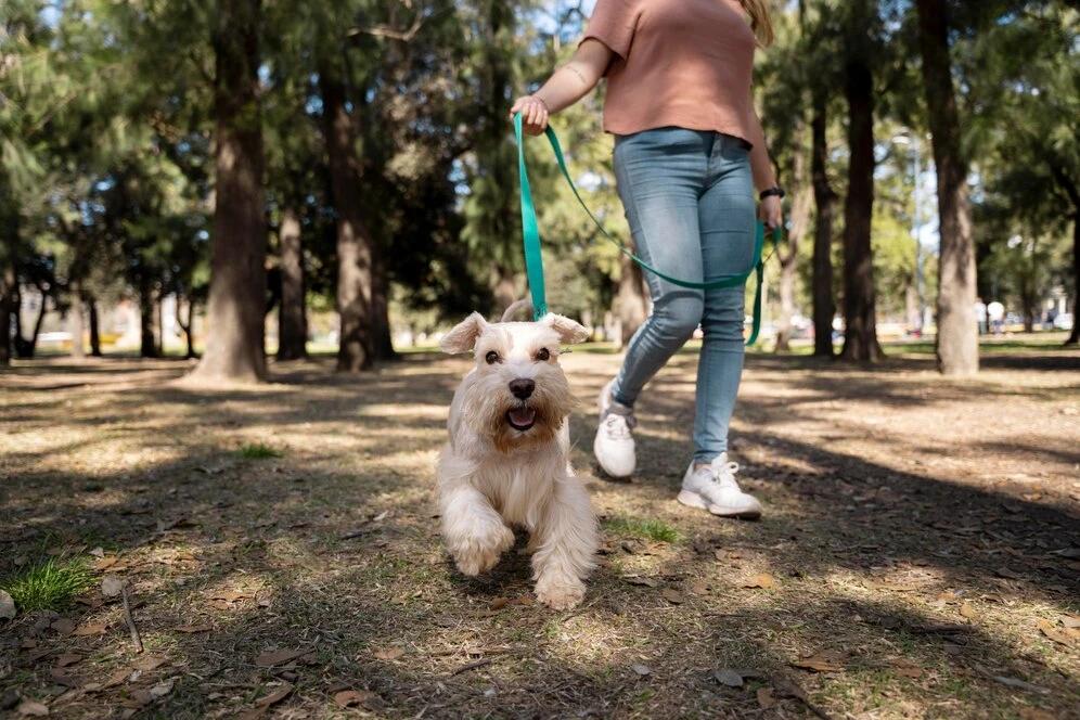 Primeira 'Cãominhada' de Morro da Fumaça está com inscrições abertas