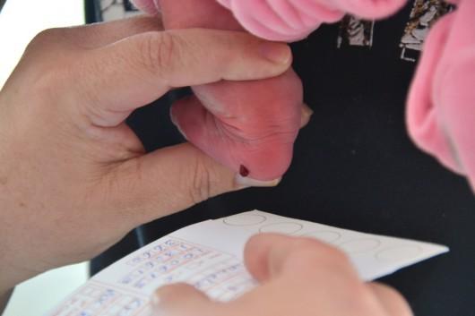 Por mês, Criciúma realiza mais de 200 testes do pezinho
