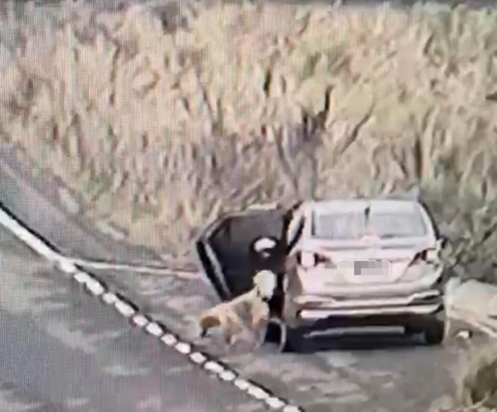 Prefeitura de Içara aguarda investigação de participação de servidora em abandono de cachorro