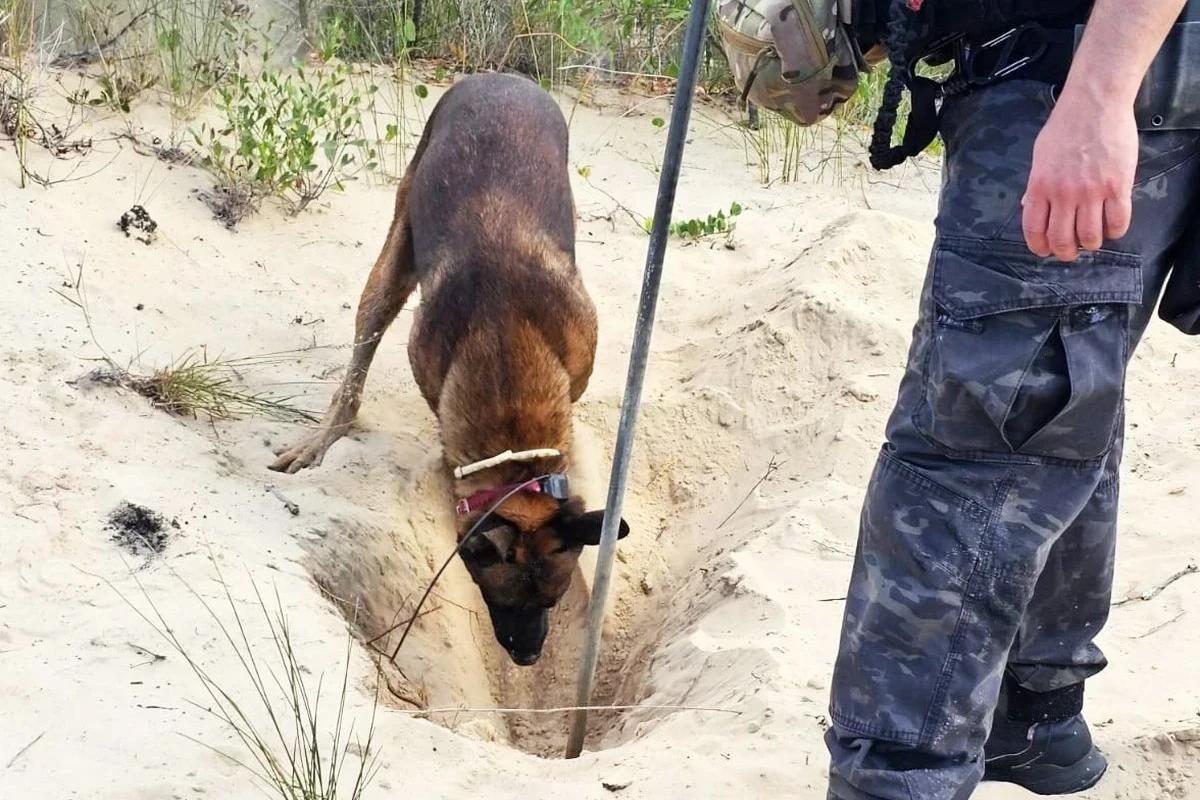 Corpo encontrado em Balneário Rincão é identificado