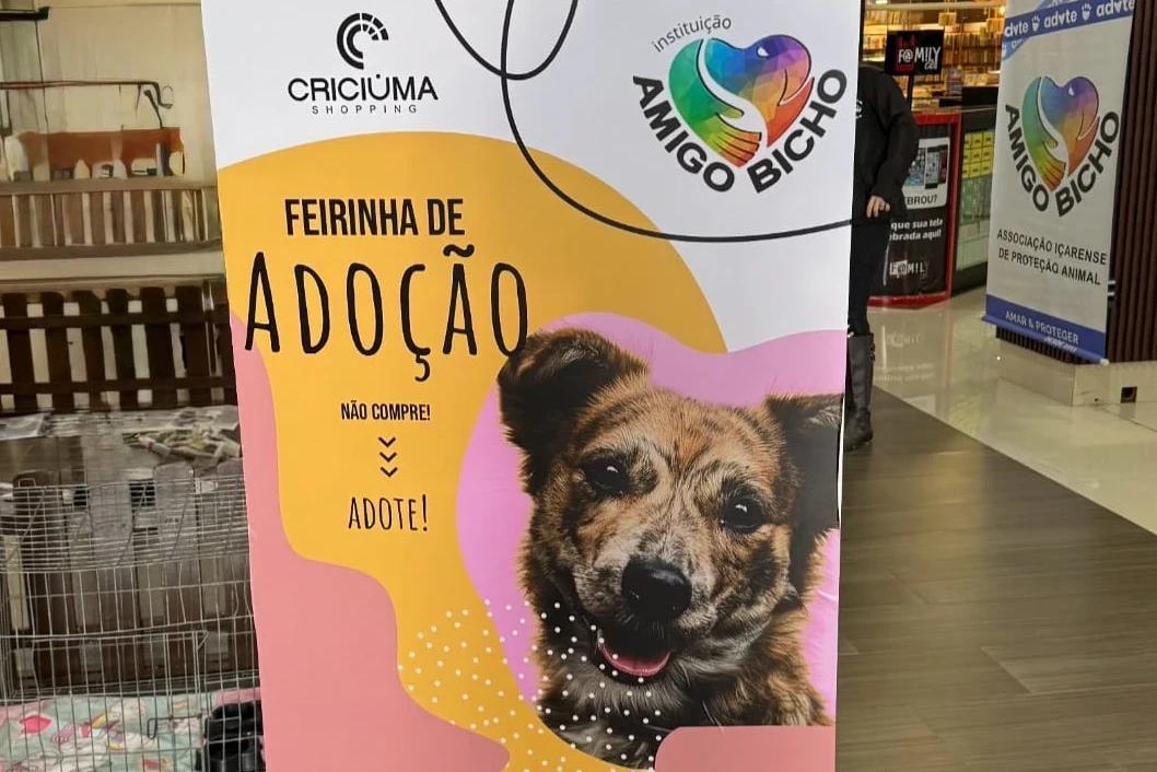 Feira de Adoção: ONG Amigo Bicho promove evento este domingo