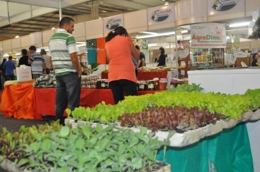 AgroPonte 2013 terá feira de animais