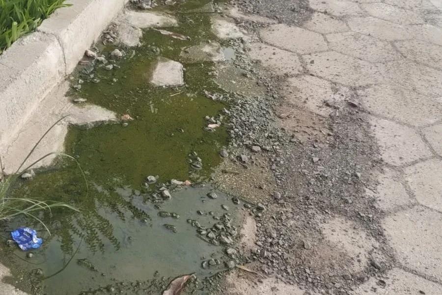 Vazamento em rua preocupa morador de bairro em Criciúma