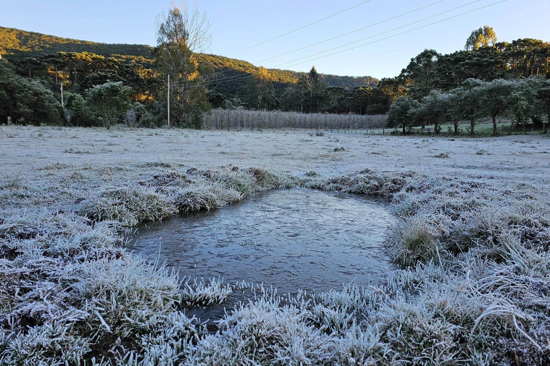 Frio! Serra catarinense volta a registrar temperatura negativa de -8°C
