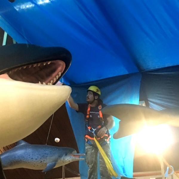 Exposição Ecossistema Marinho ganha revitalização com 207 novos espécimes