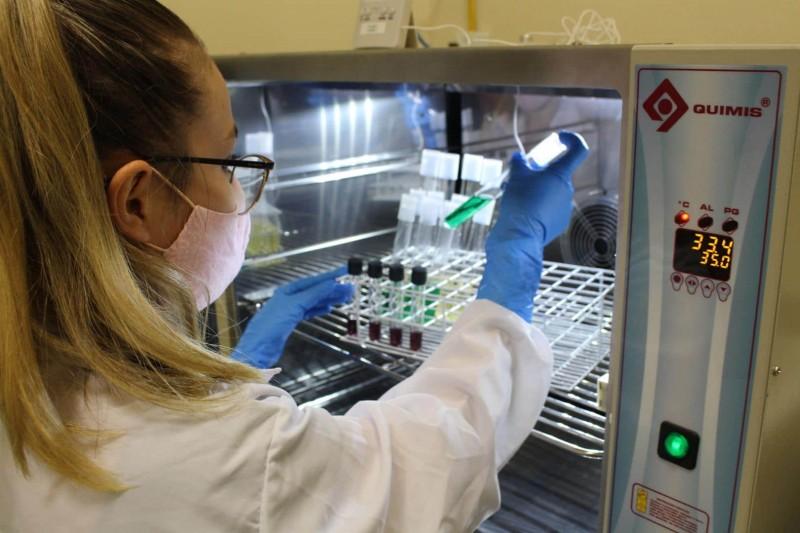 Com mais de 124 mil análises em 2023, Laboratórios Satc prezam pela precisão nos resultados