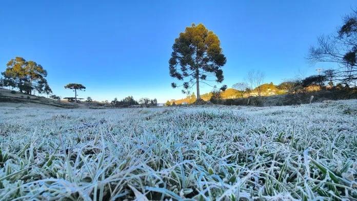 Serra Catarinense amanhece com geada neste sábado; confira fotos