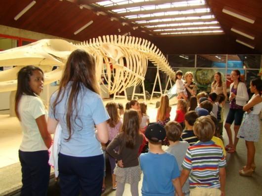 Museu de Zoologia da Unesc está de aniversário
