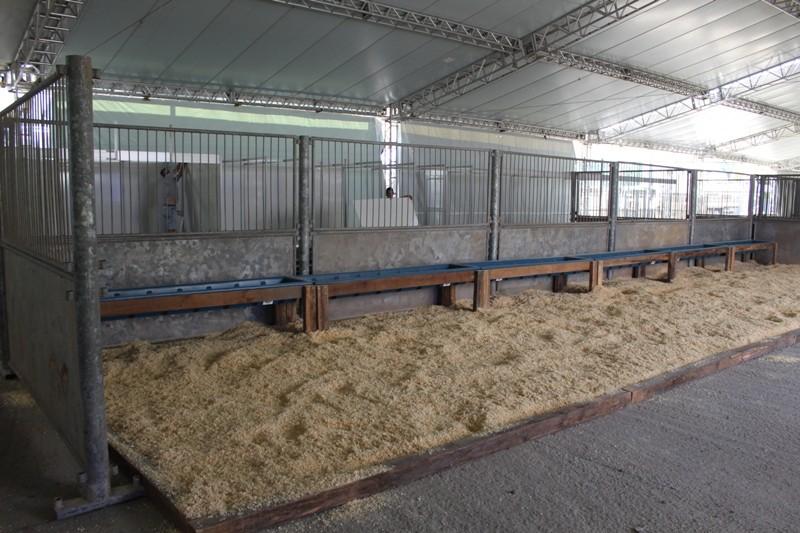 Montagem da 10ª Feira AgroPonte já está na reta final