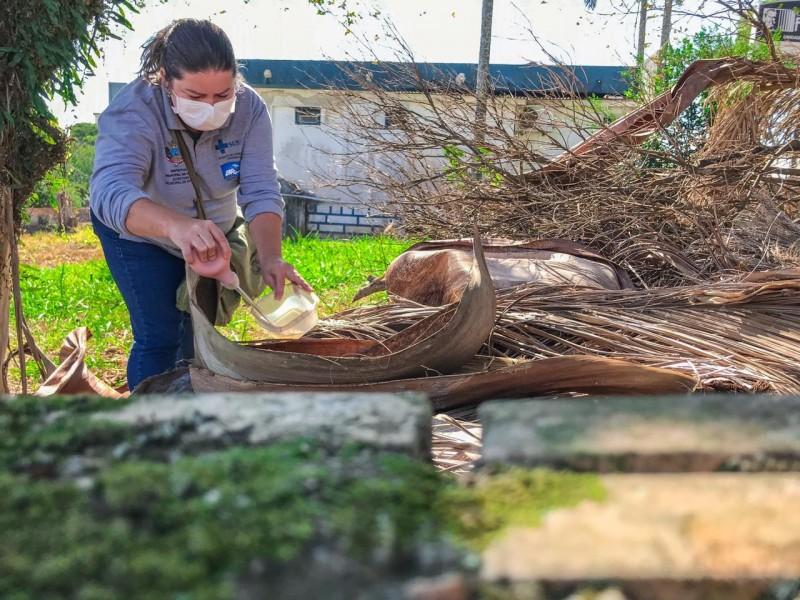 Doze focos de dengue são localizados em Içara