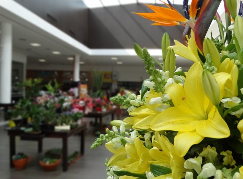 Flores e plantas em destaque no Festival de Primavera