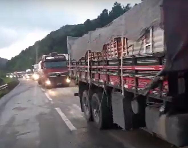 BR-101: após liberação do trânsito, Morro dos Cavalos registra filas; veja vídeo 