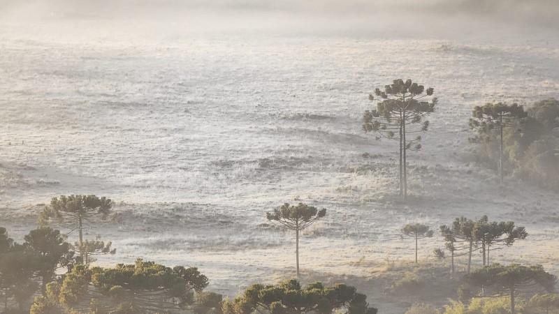 Paisagem amanhece branca da geada na Serra Catarinense