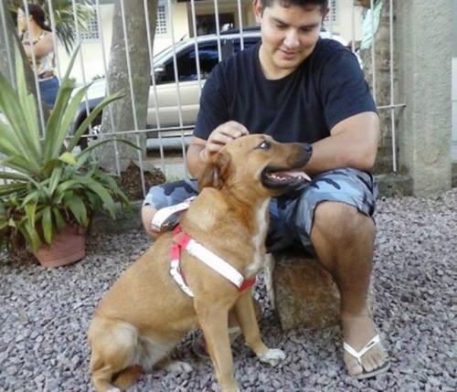 Mutirão de castração de cães e gatos acontece neste sábado em Criciúma
