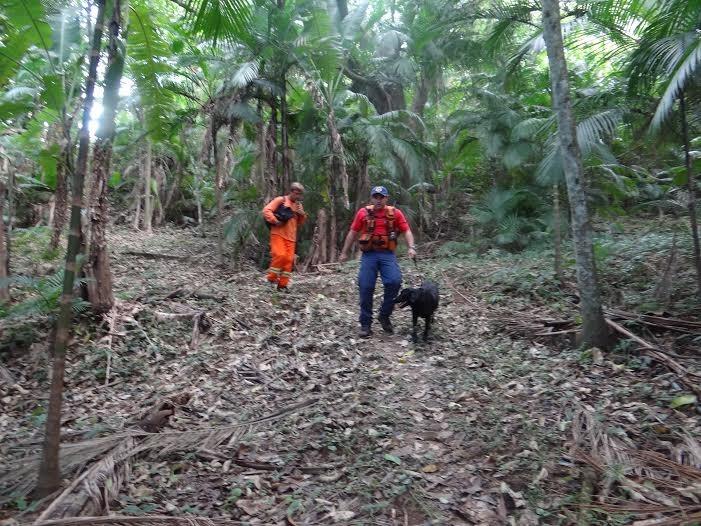Perdido no Morro Cechinel, homem é localizado pelos bombeiros de Criciúma