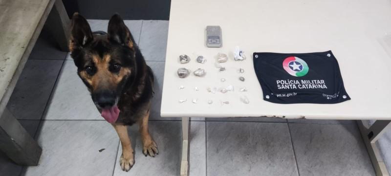Com ajuda do cão farejador, PM apreende drogas em Criciúma 