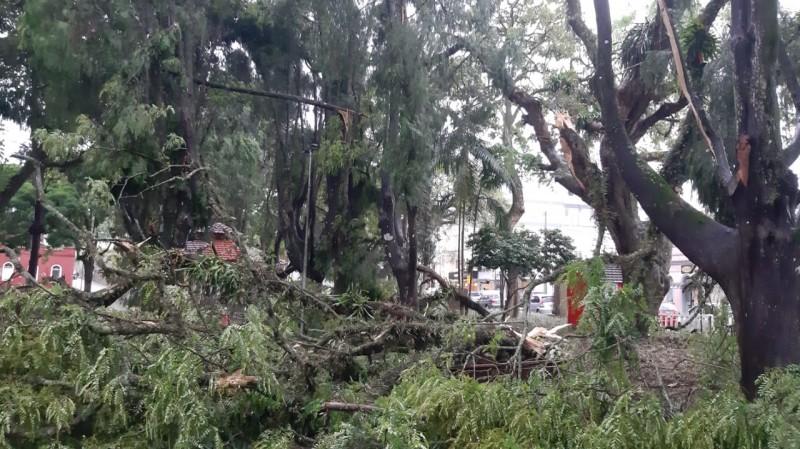 Urussanga: temporal causa danos em residências e queda de árvores no Centro