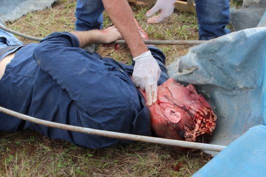 Voluntários participam de simulação de desastre aéreo em Forquilhinha