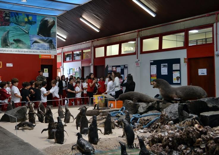 Semana debate o papel dos museus para uma sociedade sustentável