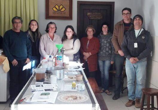 Agricultores unem forças para produzir orgânicos