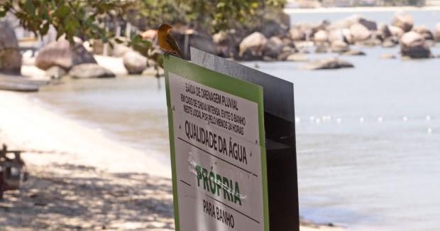 Aumenta número de pontos próprios para banho em Santa Catarina