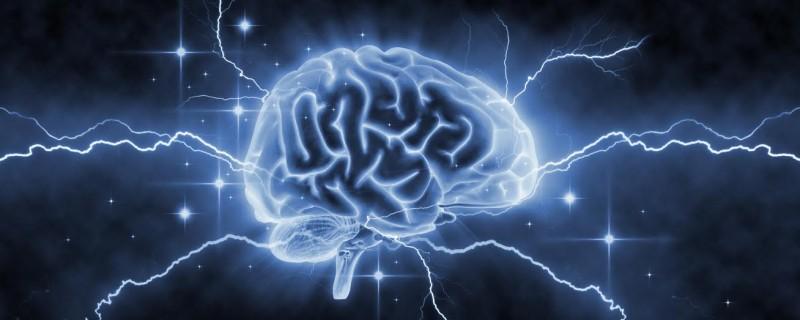 Unesc oferece curso em Neurociência Comportamental