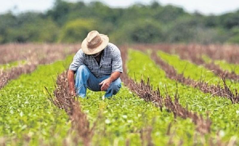Mais de 5,7 milhões entregam declaração do ITR 2019 dentro do prazo