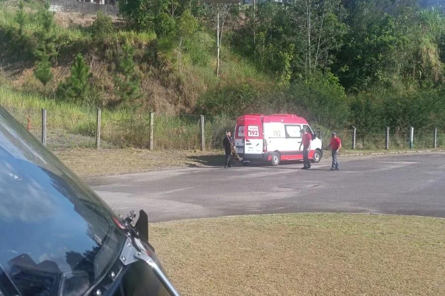 Trabalhadora fica gravemente ferida após ser atingida por árvore