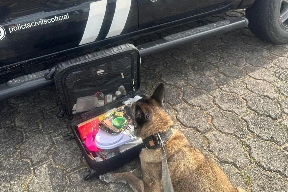 Vídeo: Polícia Civil de Içara apreende dois quilos de drogas e desarticula esquema de traficantes