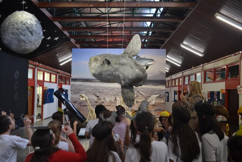 Crianças celebram a chegada do Peixe-lua no Museu de Zoologia