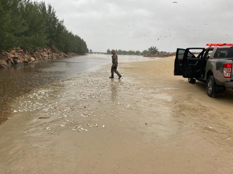 Pesca irregular é flagrada na Barra do Camacho, em Jaguaruna; Polícia tenta identificar envolvidos