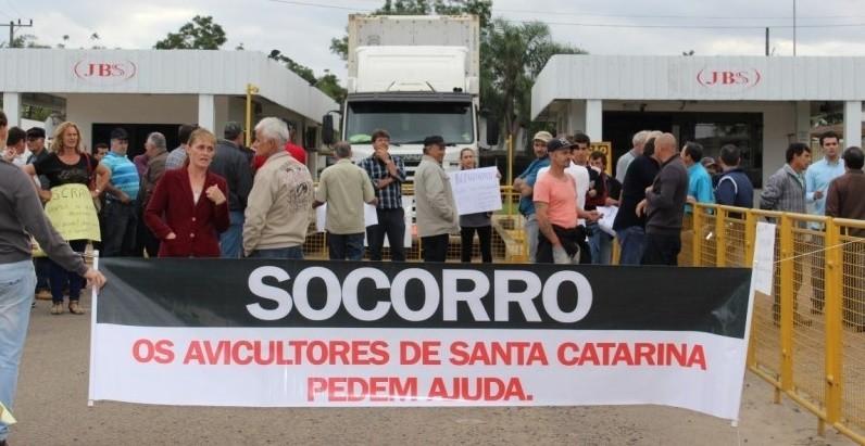 Avicultores repudiam novo contrato