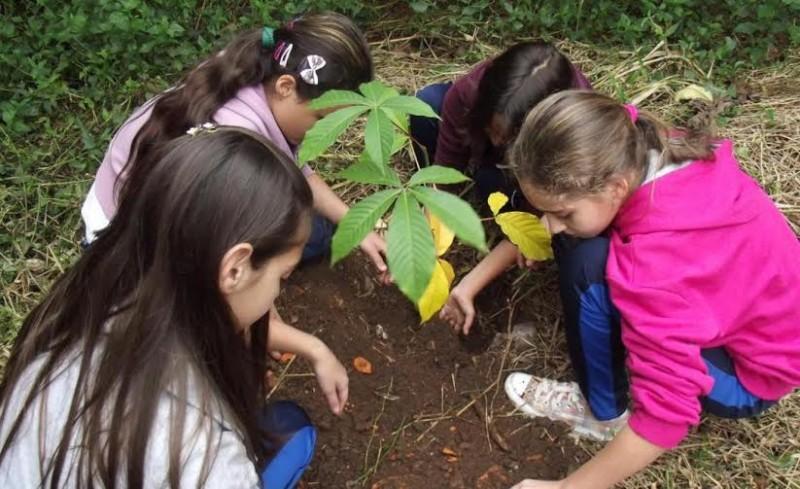Semana do Meio Ambiente leva conscientização aos içarenses